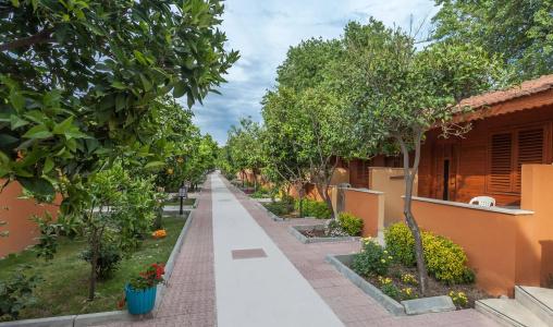 Ozlem Garden - 19