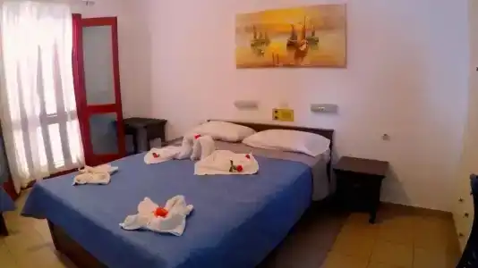 Paloma Garden - 1