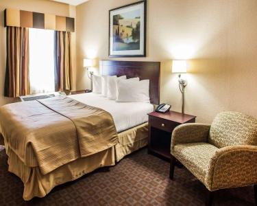 Quality Inn & Suites - 36