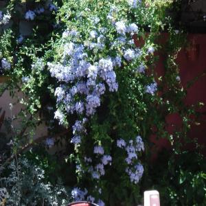 Sezgin Boutique - 14