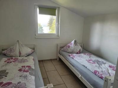 Pension Waldesruh - 55
