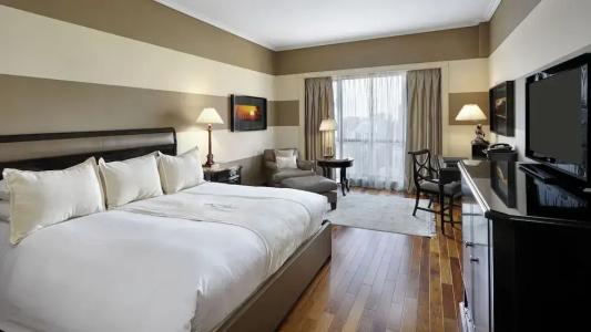 Intercontinental Buenos Aires, An Ihg - 77