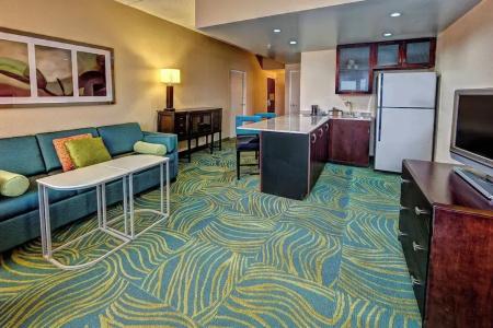 SpringHill Suites Old Dominion University - 33