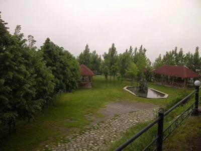 Kungut & Resort - 11
