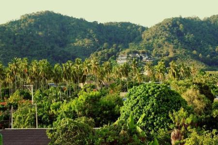 Tropical Sands - 37