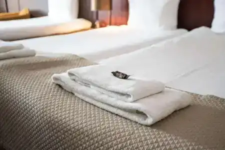 Best Western Plus City Centre Den Bosch - 89