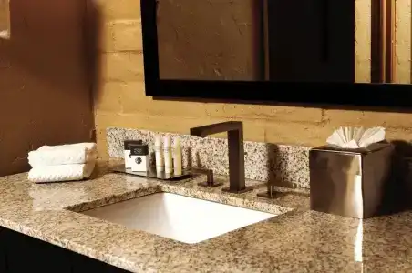 DoubleTree Suites by Hilton Tucson-Williams Center - 8
