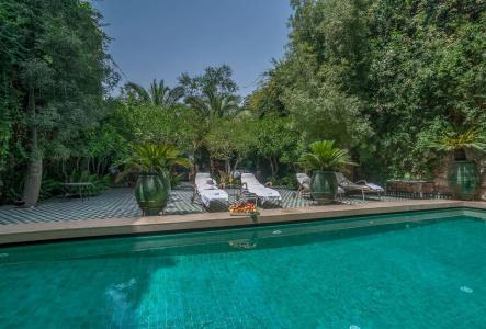 Riad & Spa Laurence Olivier - 20