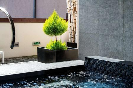 & Spa Regent Petite France - 16