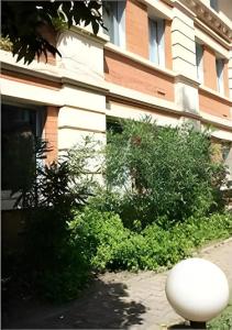 Gascogne - 37