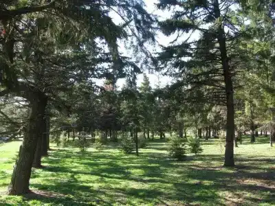 Park & Spa Boyana - 29