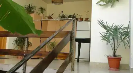 Афалина - 0