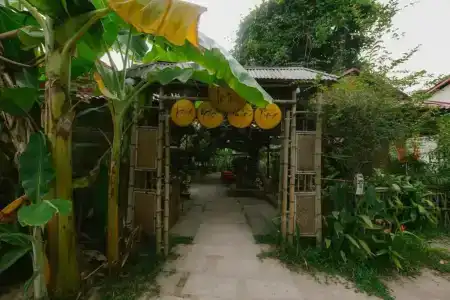 Thanh Nien - 48