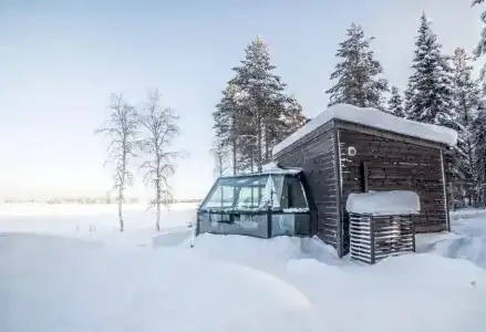 Arctic Fox Igloos - 22
