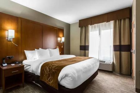 Comfort Suites - University - 59