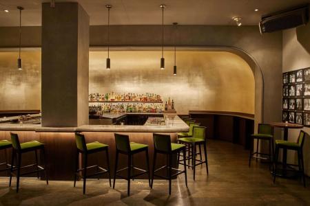 Ambassador Chicago, part of JdV by Hyatt - 22