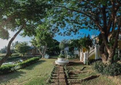 Rosario Oasis Sha Plus - 24