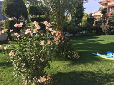Asur & Aparts & Villas - 113