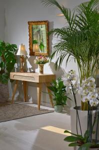 Casa Di Fiori Andros Suites - 100