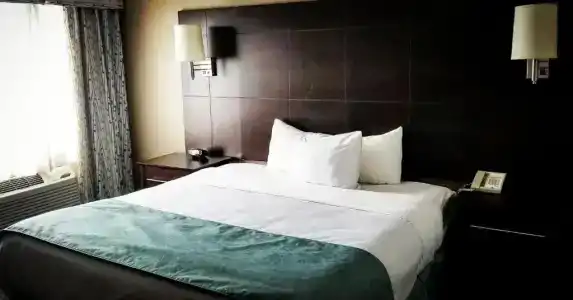 Comfort Inn & Conference Centre Airport - 31