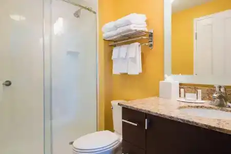 TownePlace Suites by Marriott South/Hamburg Place - 52