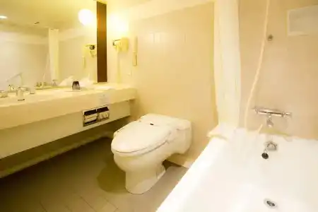 Nikko Kansai Airport - 3 mins walk to the airport - 17