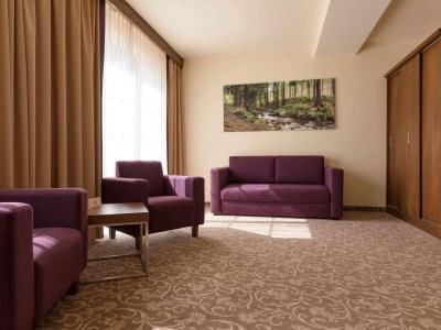 Mercure Krynica Zdrój Resort&Spa - 5