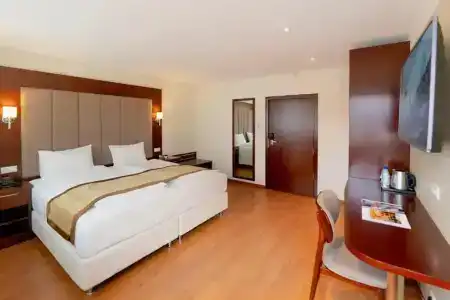 Palast - 21