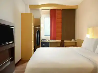 Ibis Pasteur - 4