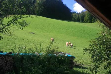 AlpenBeslhof - 23
