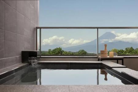 Izu Marriott Shuzenji - 119