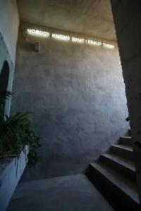 Kook Tarifa - 12