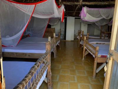 New Jambo Bungalows - 20