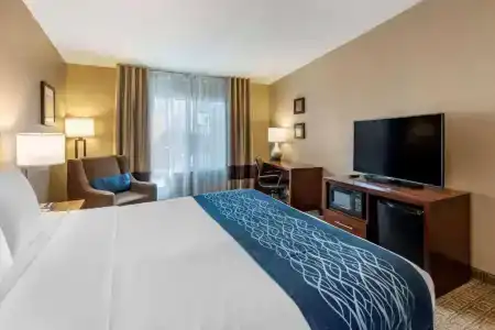 Comfort Inn & Suites Beach - 30
