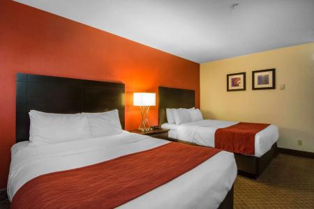 Comfort Inn & Suites Airport South - 3