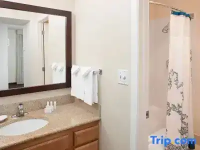 Residence Inn by Marriott Seattle/Bellevue - 65