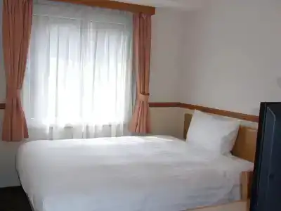 Toyoko Inn-eki Minamiguchi-migi - 31