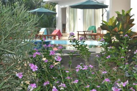 Karma Guesthouse - 12