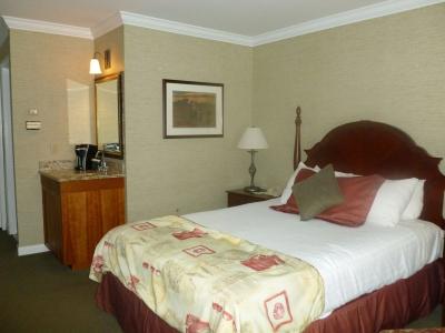 Stoweflake Mountain & Spa - 3