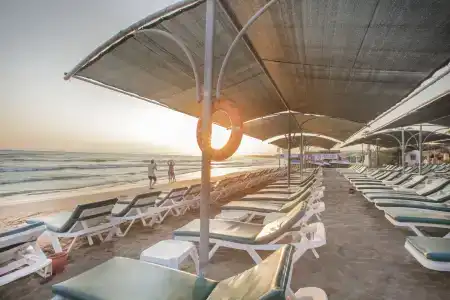 Trendy Palm Beach - 28