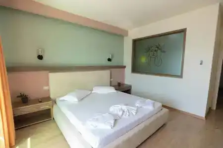 Picasso - 60