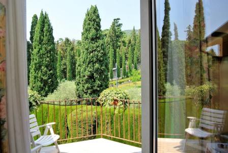 Garden - 31