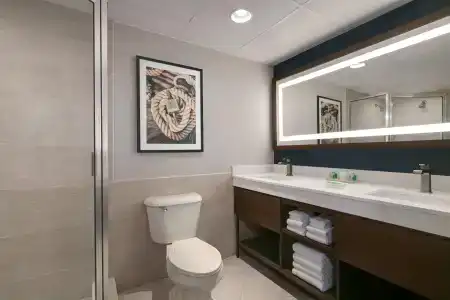 Holiday Inn & Suites, An Ihg - 8