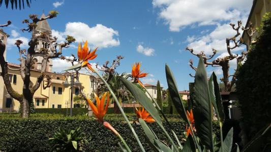Albergo Roma - 14