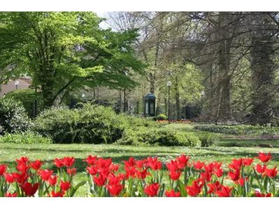 WaldBad Soden - 24