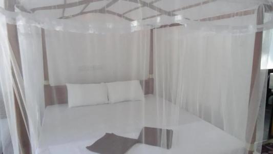Mirissa Cocoon - 34