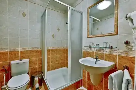 Attic - 29