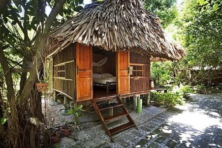 Monkey Island Resort - 62