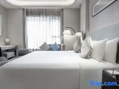 Wyndham Grand Plaza Royale Chongqing - 77