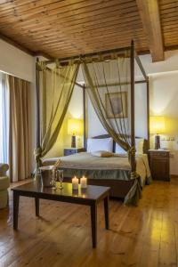 Domotel Anemolia Mountain Resort - 83